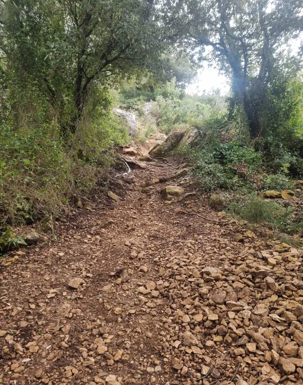 Envolée au Mont Cruvelier et vues à 360°