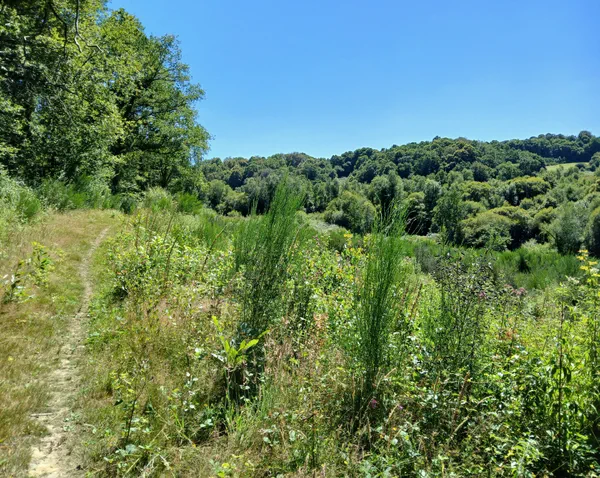 Le long du Jarlot