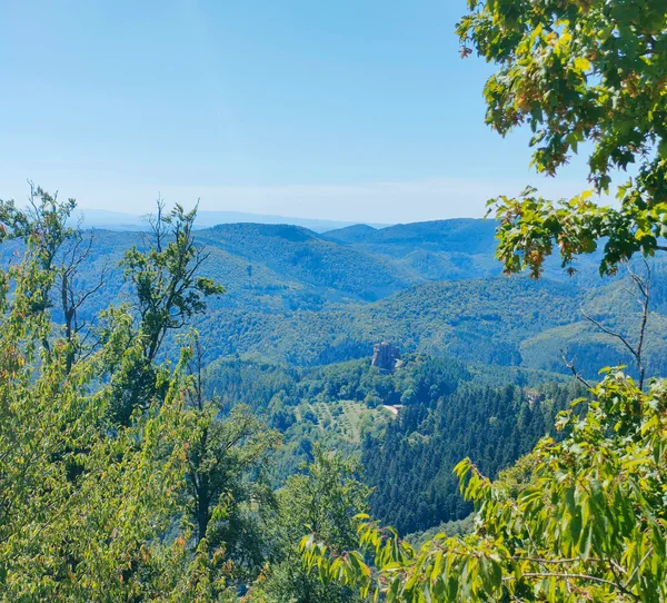 Lembach Entre Lembach et Wingen, châteaux et forêts par le GR® 53