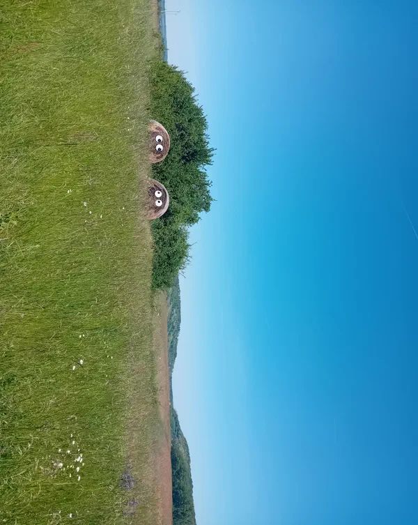 Randonnée Malling