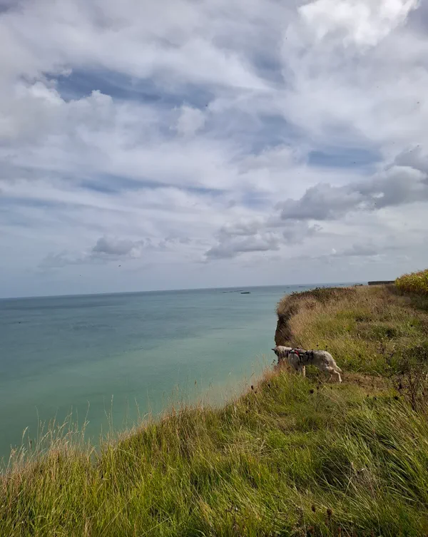 De la batterie de Longues-sur-Mer au cap Manvieux