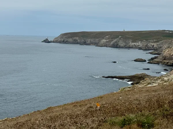 Falaises de Beuzec-Cap-Sizun et envoles sauvages Falaises de Beuzec-Cap-Sizun et envoles sauvages