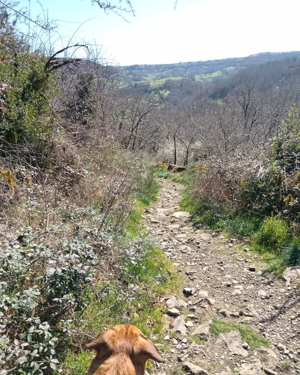 Petite rando autour d'Espalion