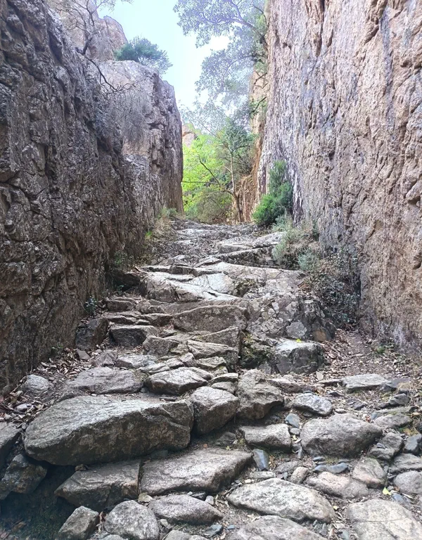 Gorges de Spelunca et cœur de Corse