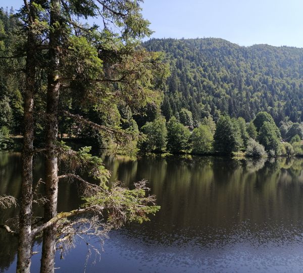 Tour du lac de Retournemer