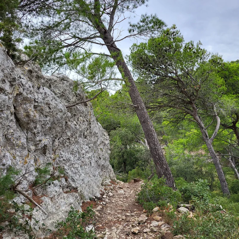 Randonnées Provence-Alpes-Côte d'Azur : Top itinéraires