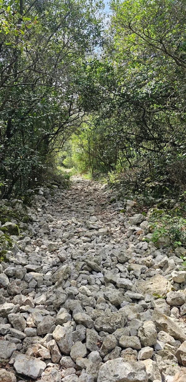 Sauve : excursion hors du temps au pied de la Mer des Rochers