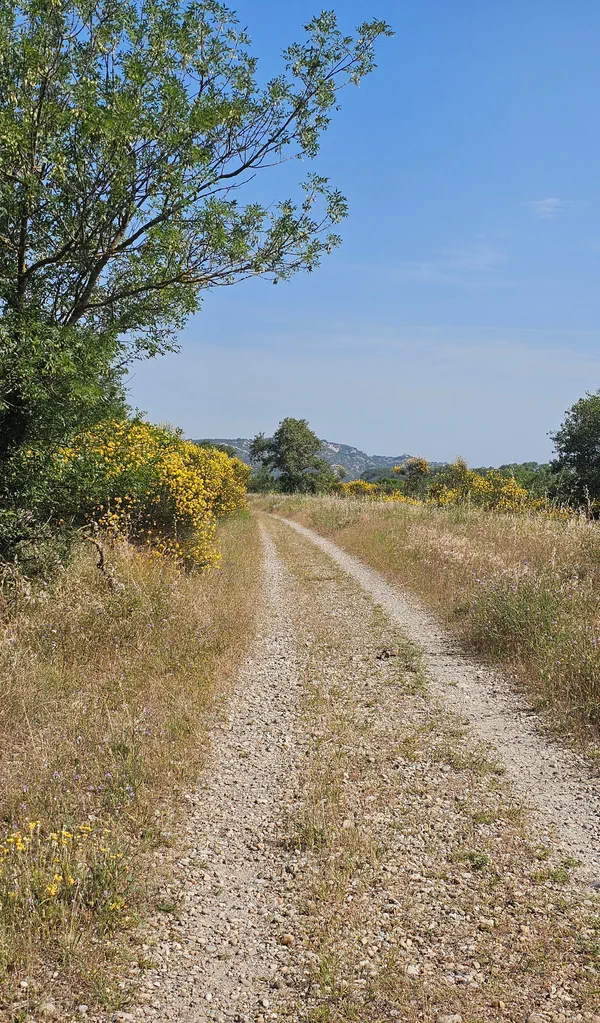 Le chemin des Castors