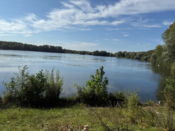 Tour du lac du Hron et calme  Villeneuve-d'Ascq