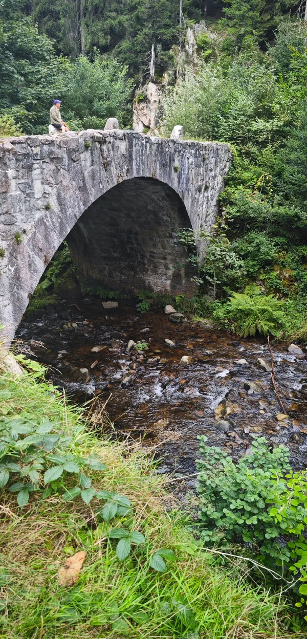 Woeste Rivier Wandel langs de Vologne en de waterval Saut des Cuves