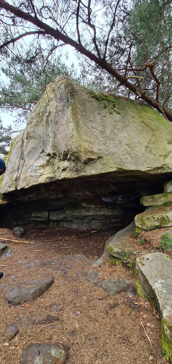 Barbizon Rocher Forêt de Fontainebleau et spectaculaires gorges d'Apremont