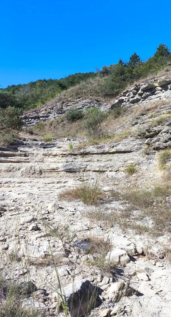 Crete Rocheux Sommet de la Croix Juliau par Serre Leroux