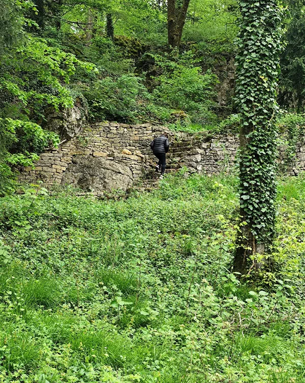 Sortie nature entre la Bôve, le Côna et le parc des Roches