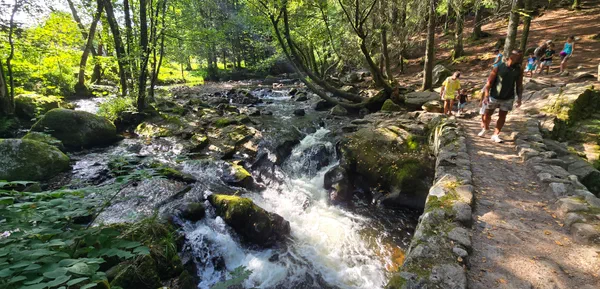 Woeste Rivier Wandel langs de Vologne en de waterval Saut des Cuves