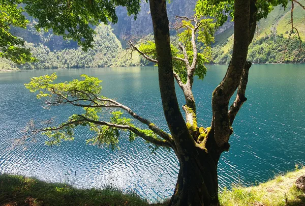 Balade au lac d'Oô et faune aux mille et une facettes