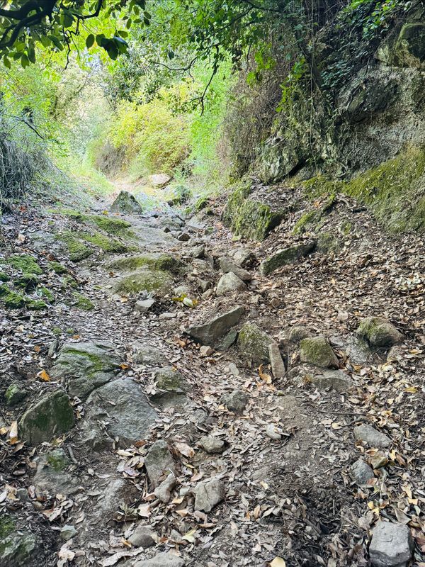 Sainte-Lucie-de-Tallano, où la Corse prend de la hauteur