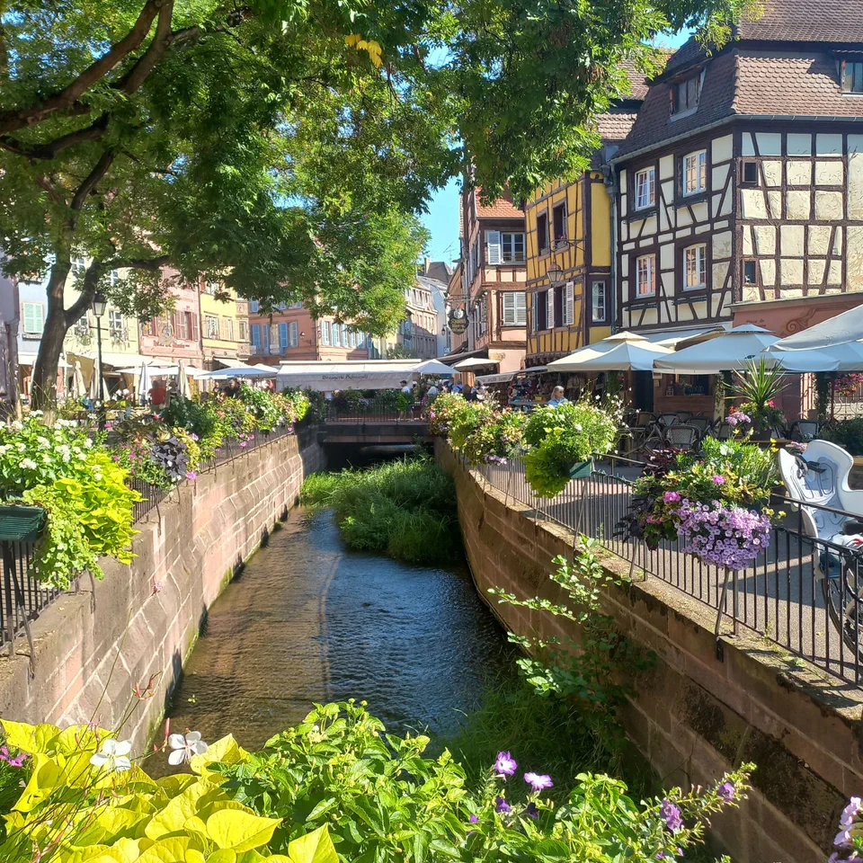 Colmar Bas Rhin Colmar : les plus belles randonnées et balades