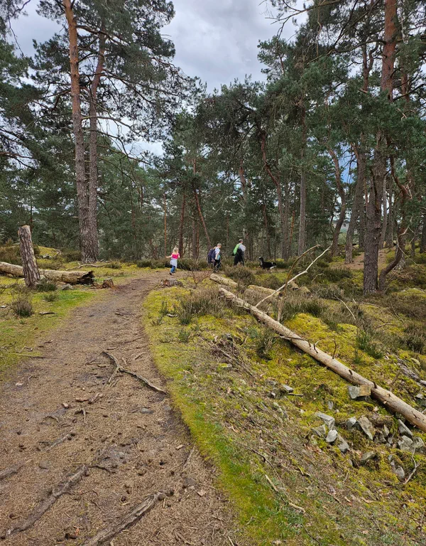 Barbizon Rocher Randonnée Sud Fontainebleau vers rocher d'escalade Barbizon