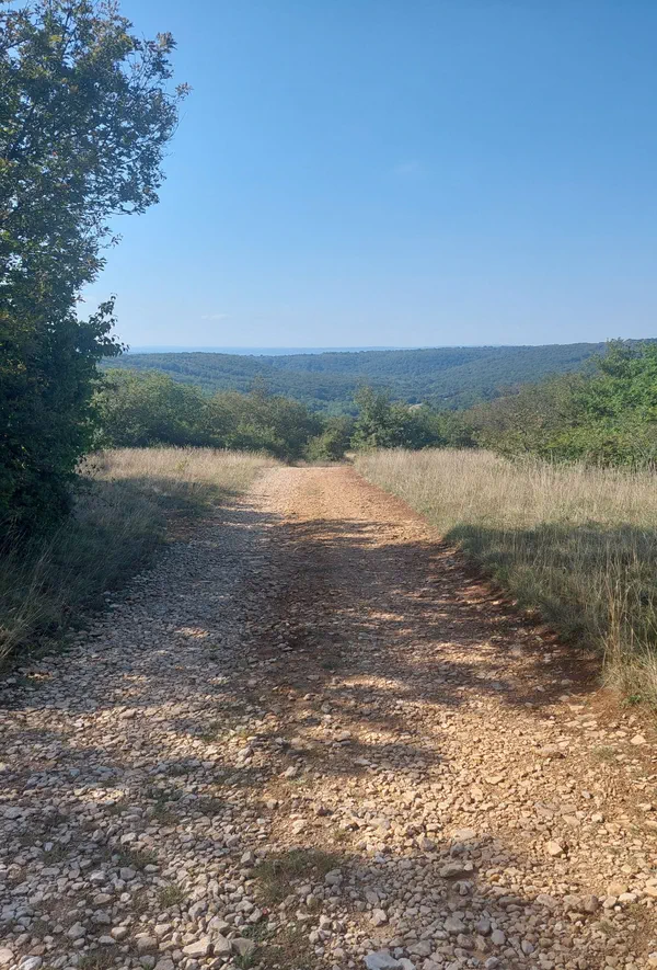 Parenthèse de nature entre Dizimieu et Mont Rosset