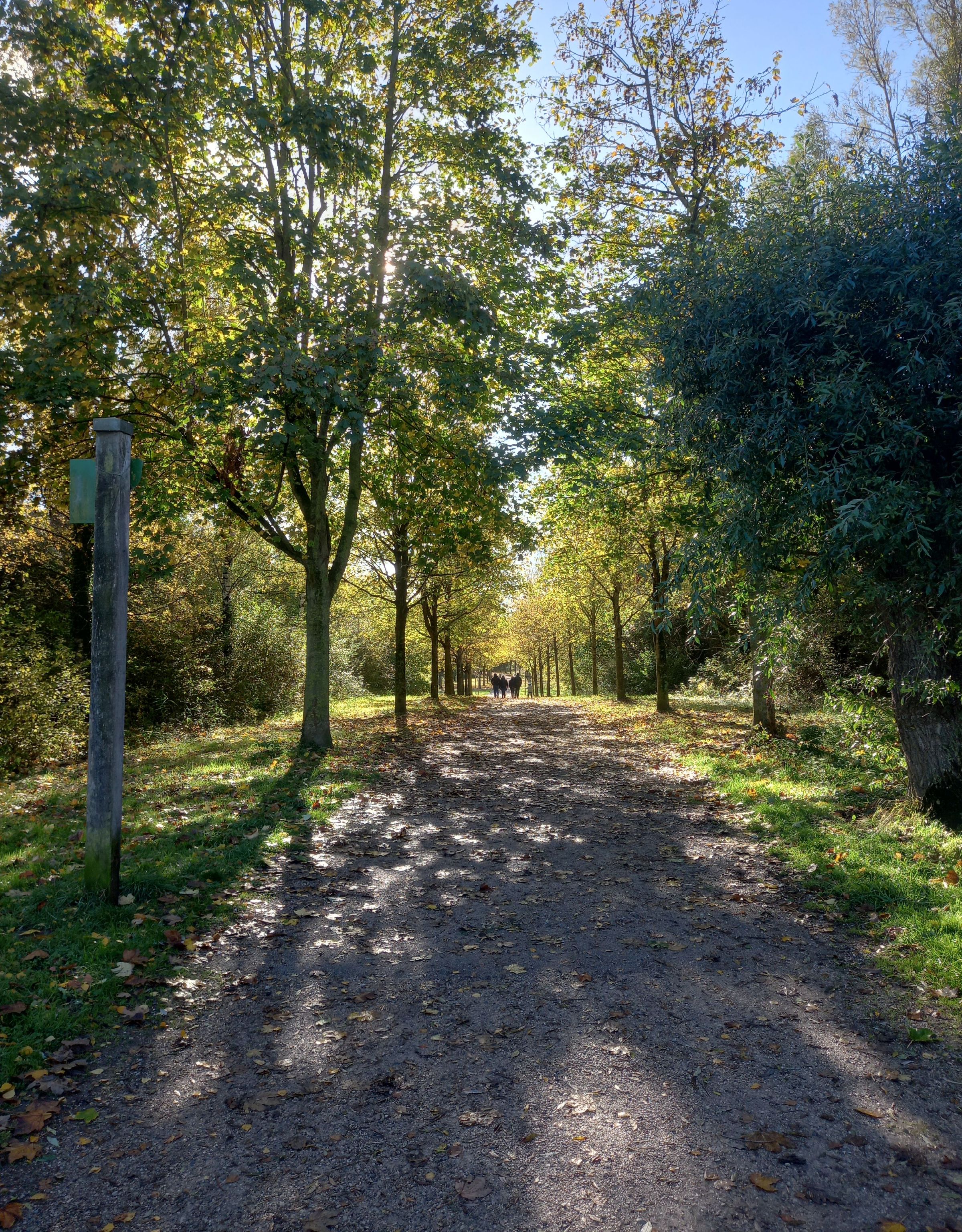 Parc des Ansereuilles