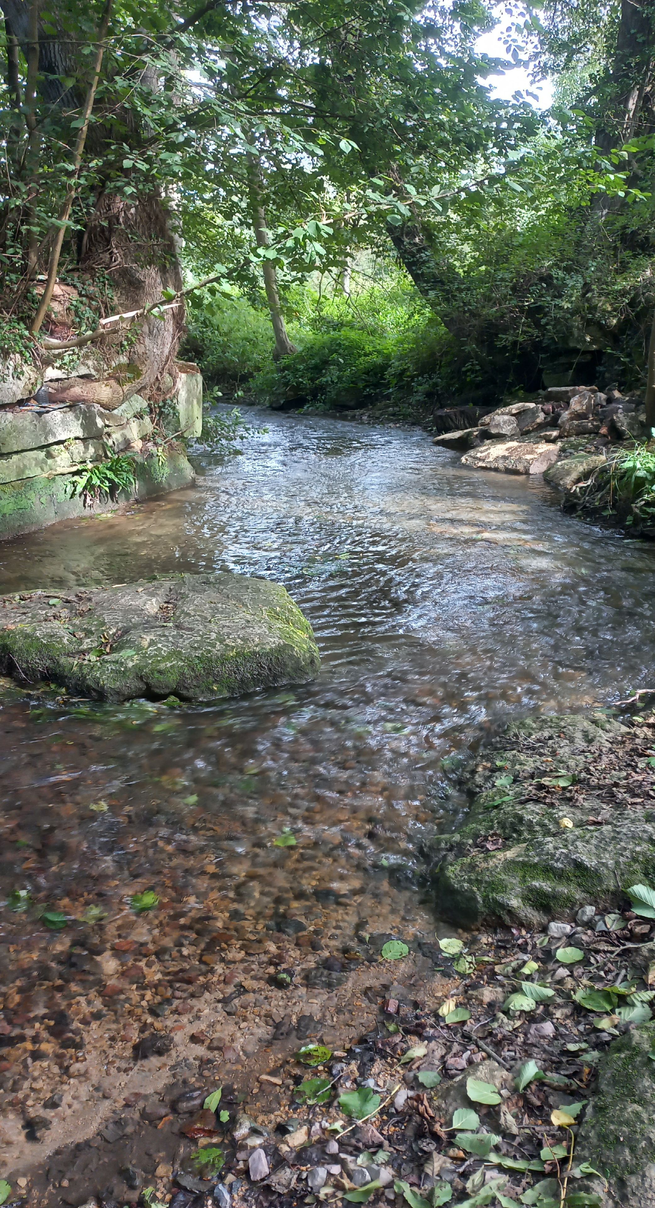 Un ruisseau limpide serpente &agrave; travers une for&ecirc;t luxuriante, avec des rochers moussus sur ses rives. Montataire - Oise. France
