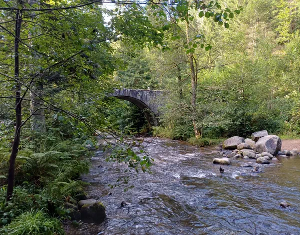 Woeste Rivier Wandel langs de Vologne en de waterval Saut des Cuves