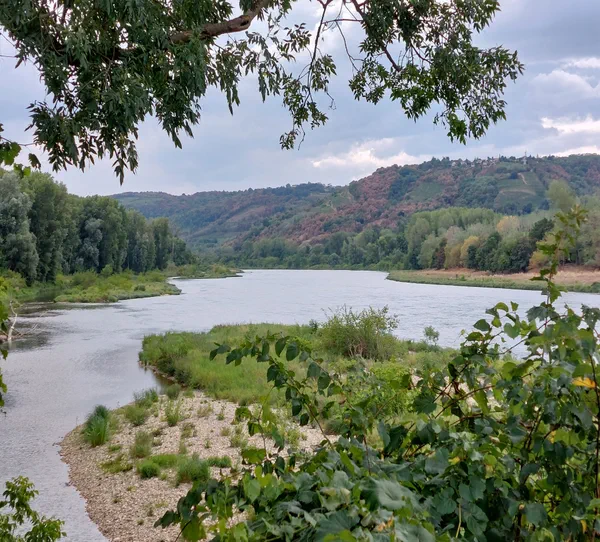 Île de la Platière