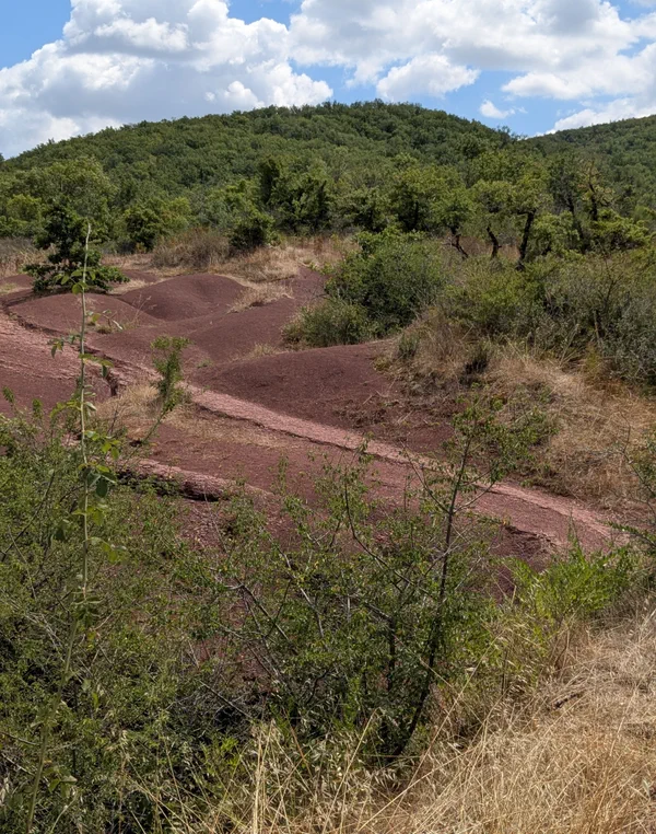 Maraval Dunes et Sentier de Maraval