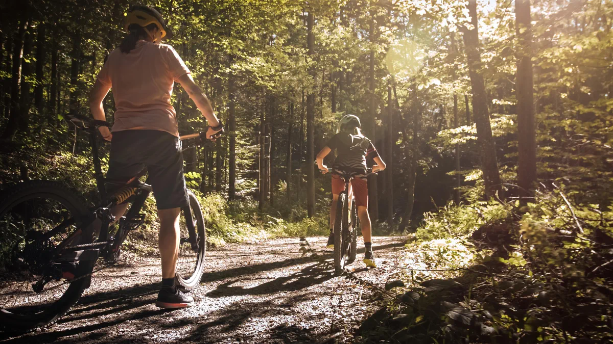 Immersion dans la forêt du Hellet depuis Mesnières-en-Bray