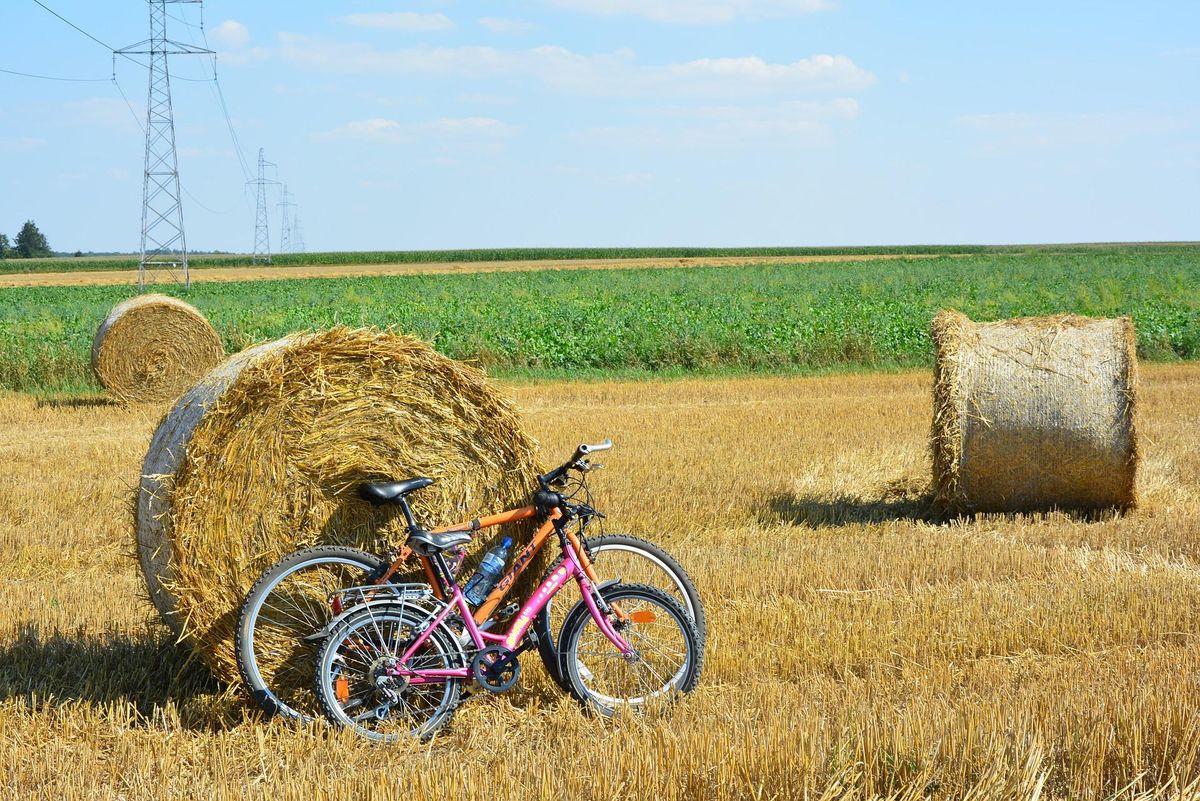 Genay à VTT et se ressourcer dans cette terre d’histoire