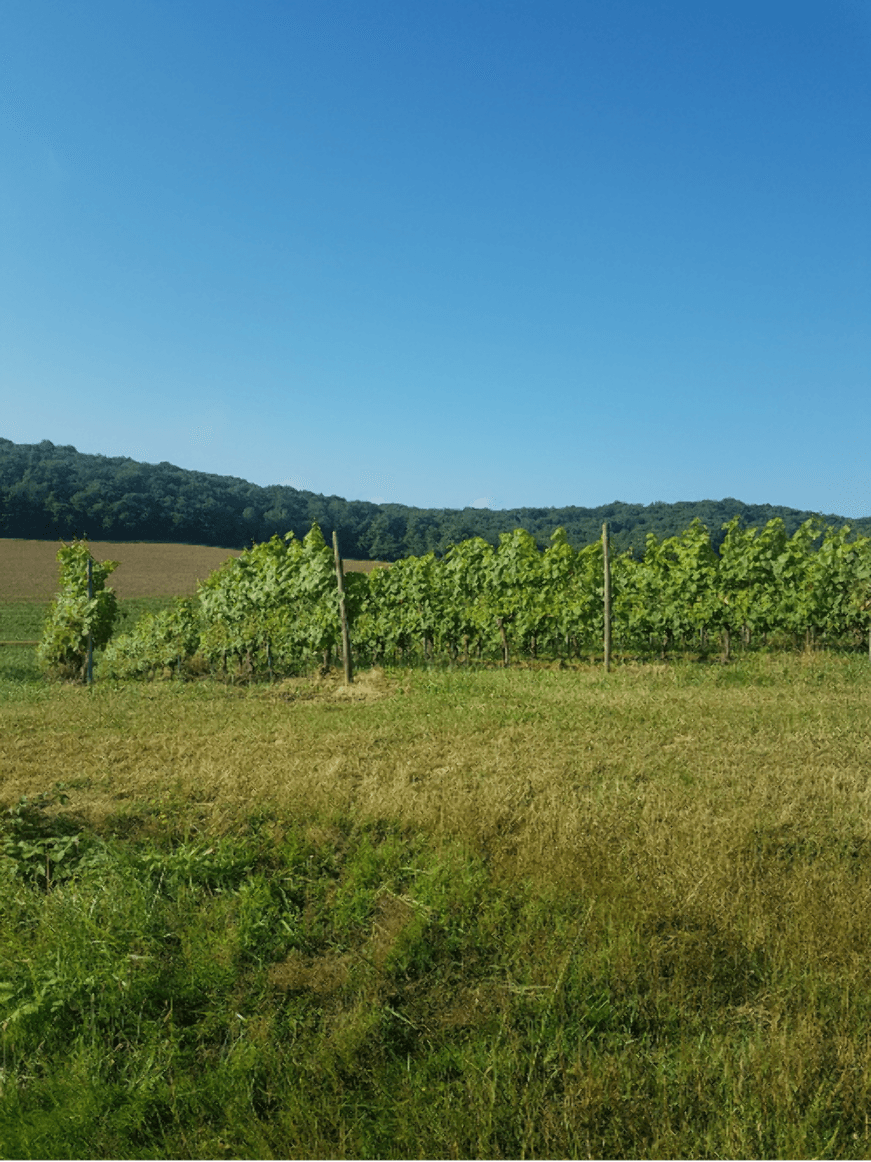 Fontaines de Moncaup et sortie cool dans le Vic-Bilh