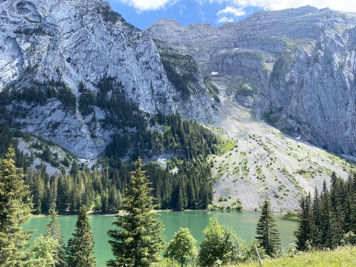 Lac Bénit aux reflets verdoyants et gentiane en été