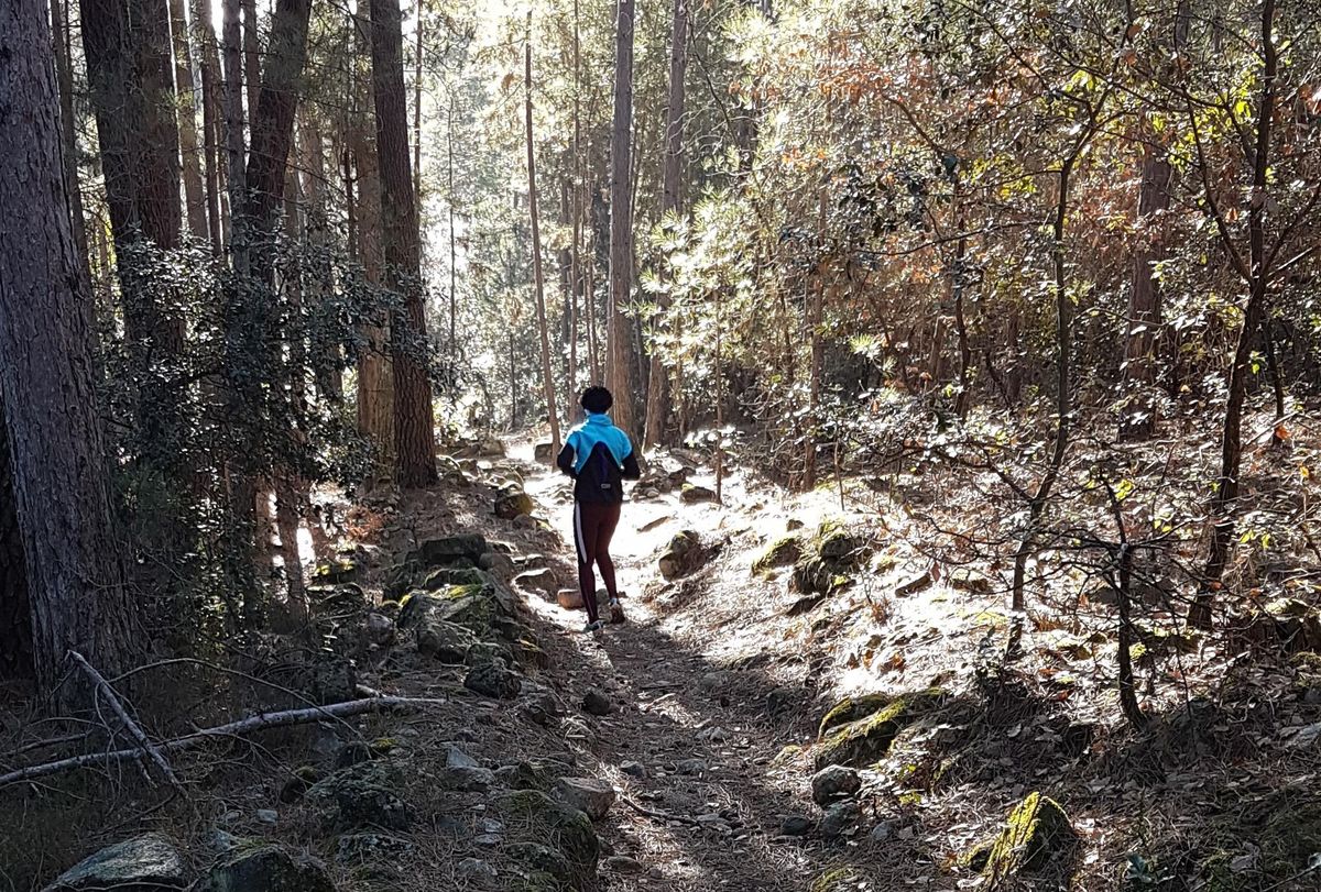 Ucel Plongée sur l'Ardèche depuis les hauteurs du Vieil Ucel