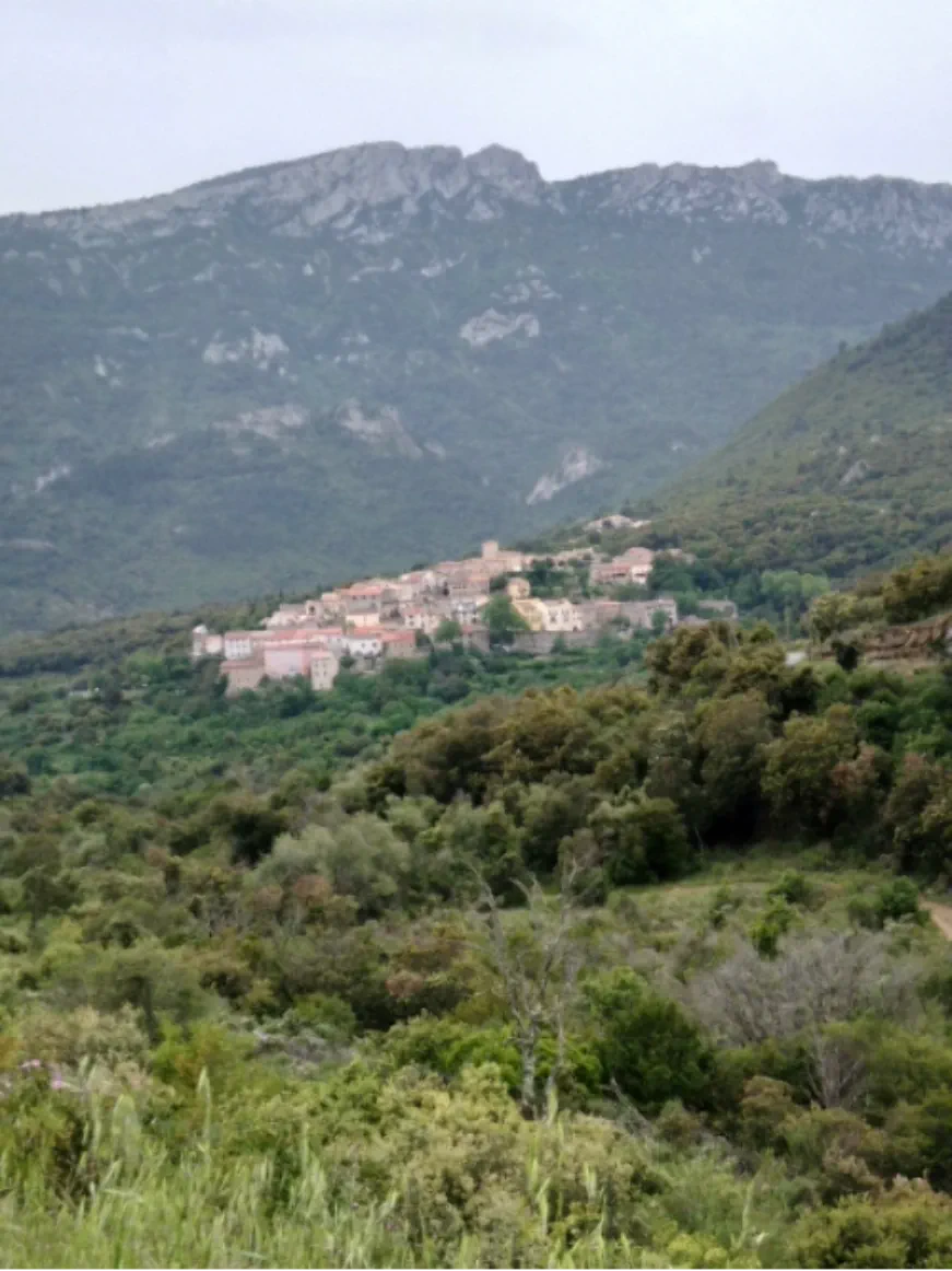 Découverte du Pays Cathare et magie du Verdouble avec sa cascade de Duilhac