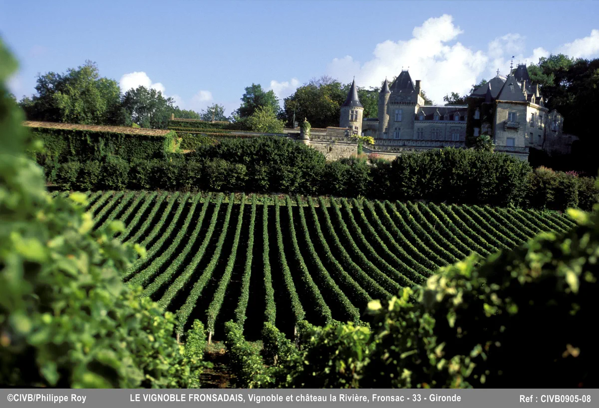 Fronsac Circuit des vignes et saveurs des crus de Fronsac
