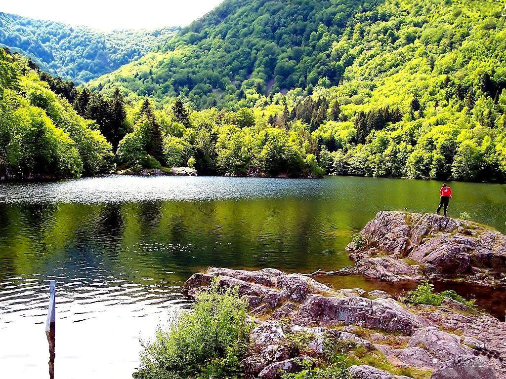 Virée aux lacs d'Alfeld et de Sewen et nature généreuse