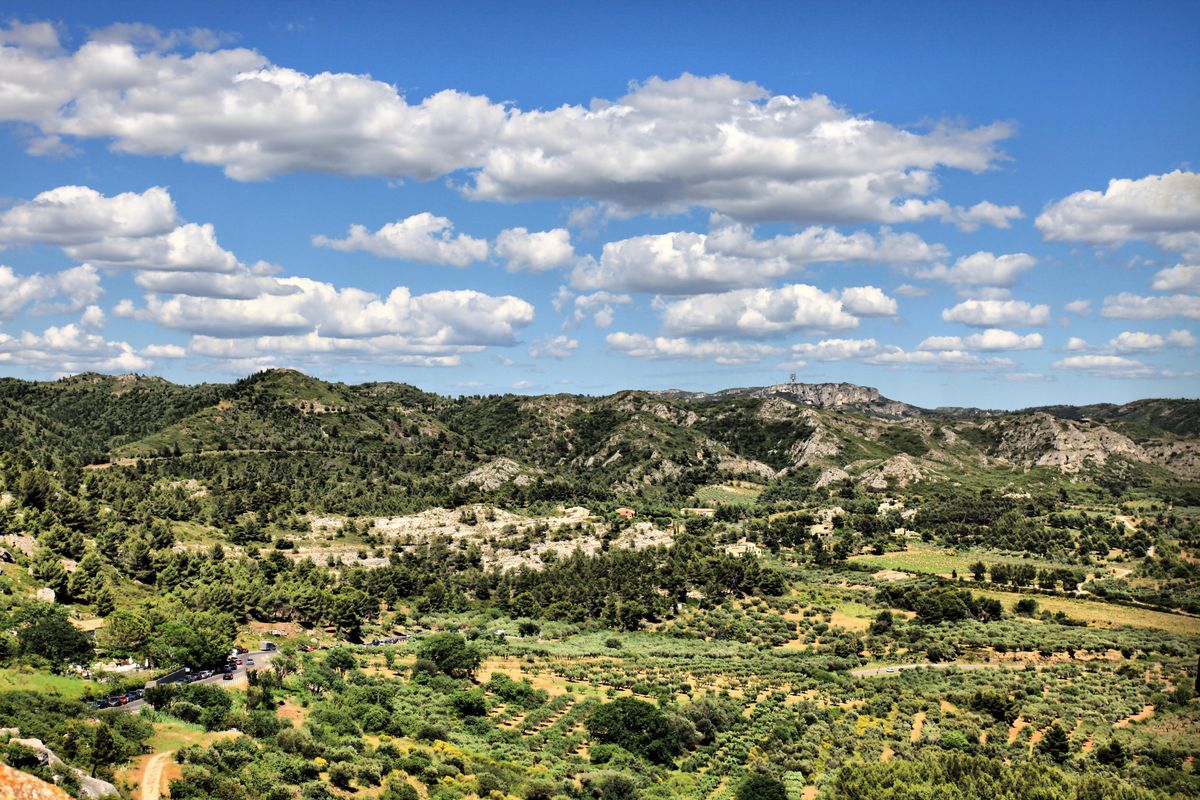 Balaise paisible dans les oliveraies et vue sur les Alpilles