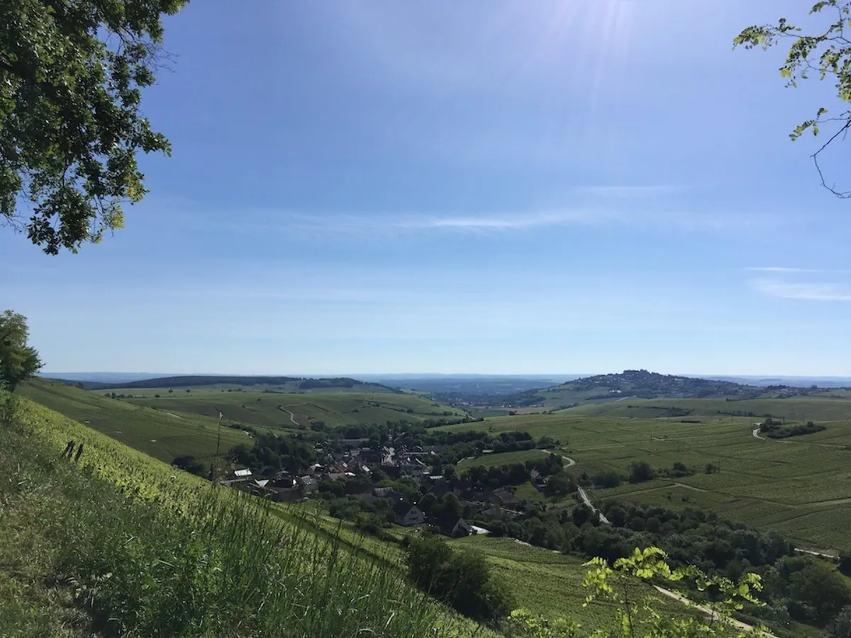 Sancerrois Entre le boire et le fromage, rando vigne dans le Sancerrois