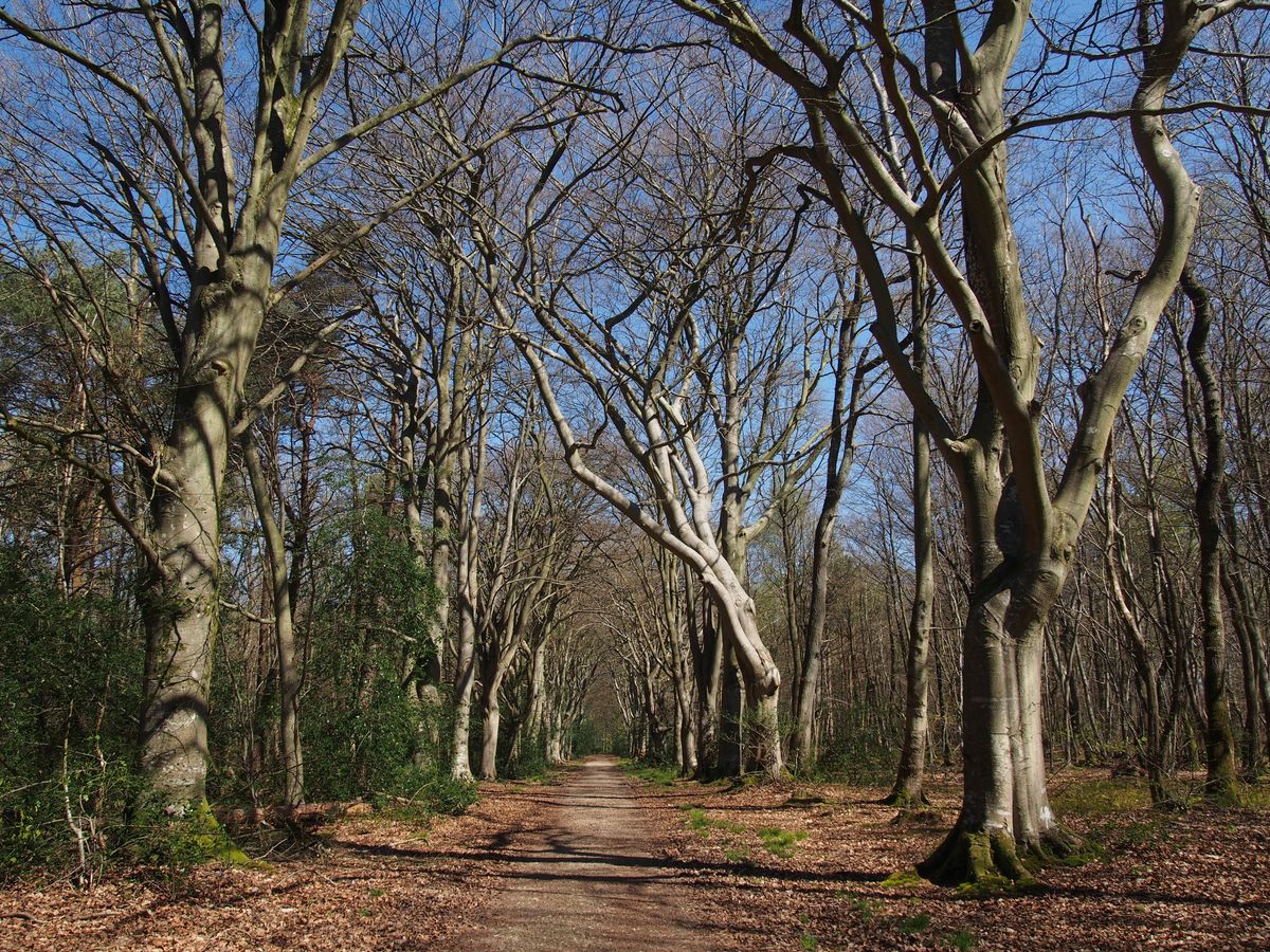 Honfleur et s'émerveiller dans le bois du Breuil