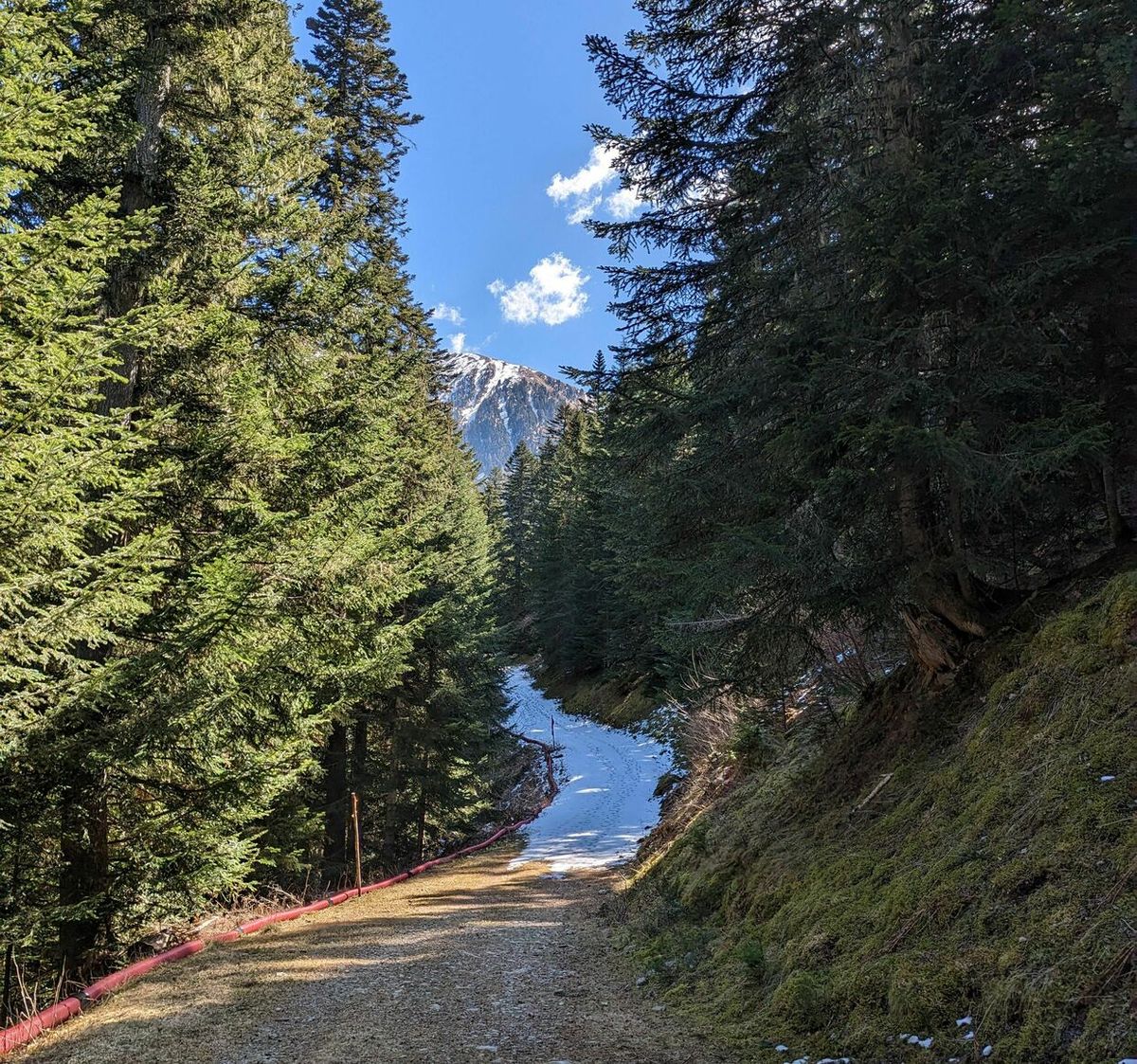 Petite balade en Vallée du Boréon