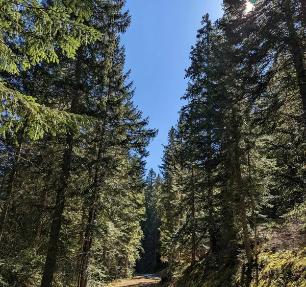 Petite balade en Vallée du Boréon