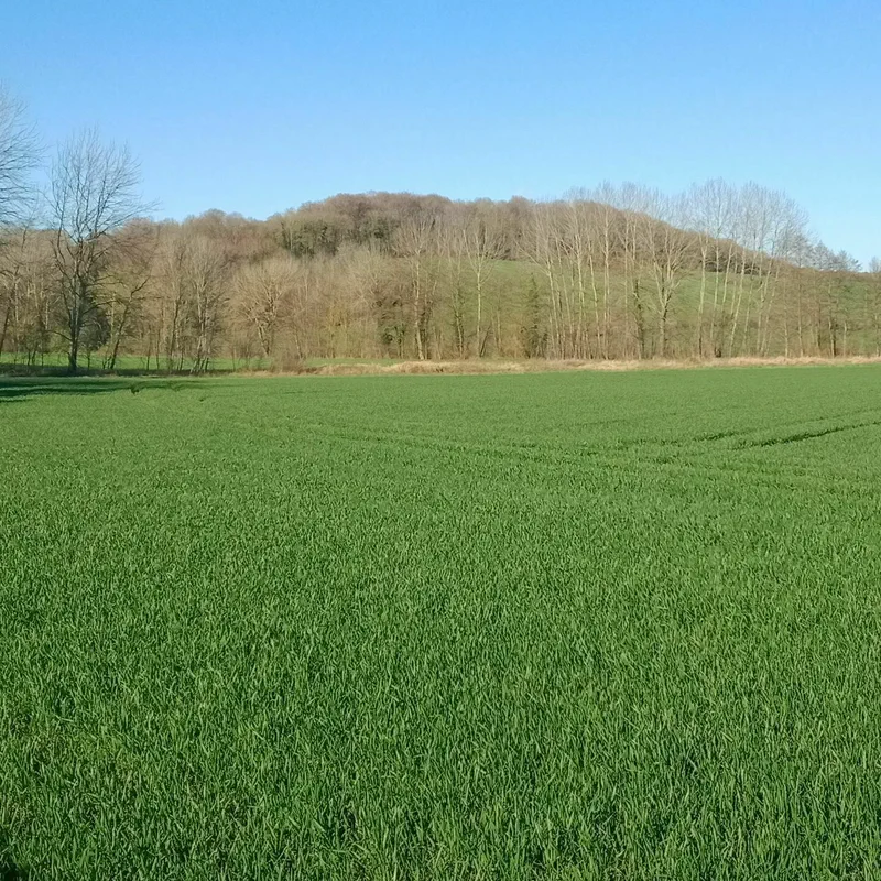 Randonnées Hauts-de-France - Les plus beaux itinéraires