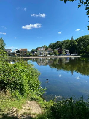 92 .n°39435 . meudon chaville.etang des ecrevisses