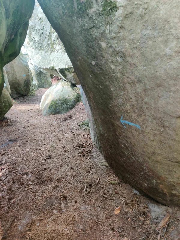 Barbizon Rocher Randonnée Sud Fontainebleau vers rocher d'escalade Barbizon