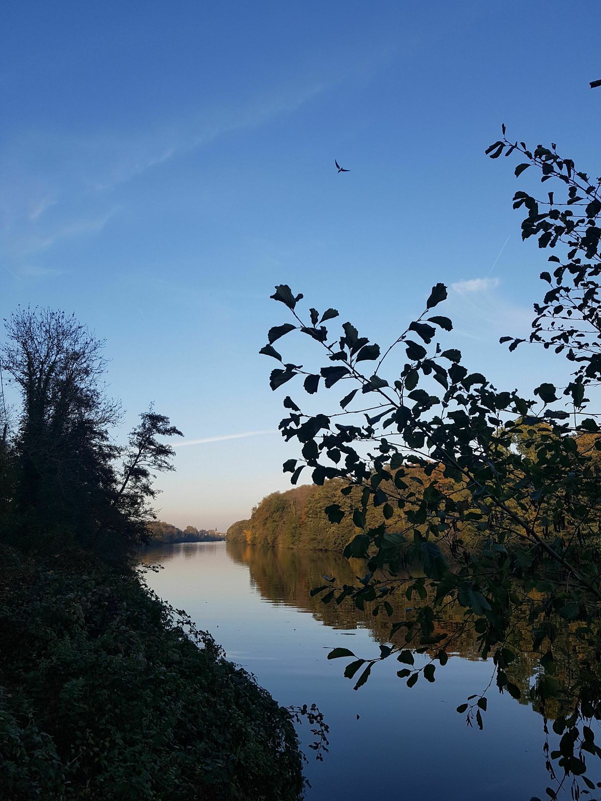 Balade à vélo le long de la Seine depuis Herblay