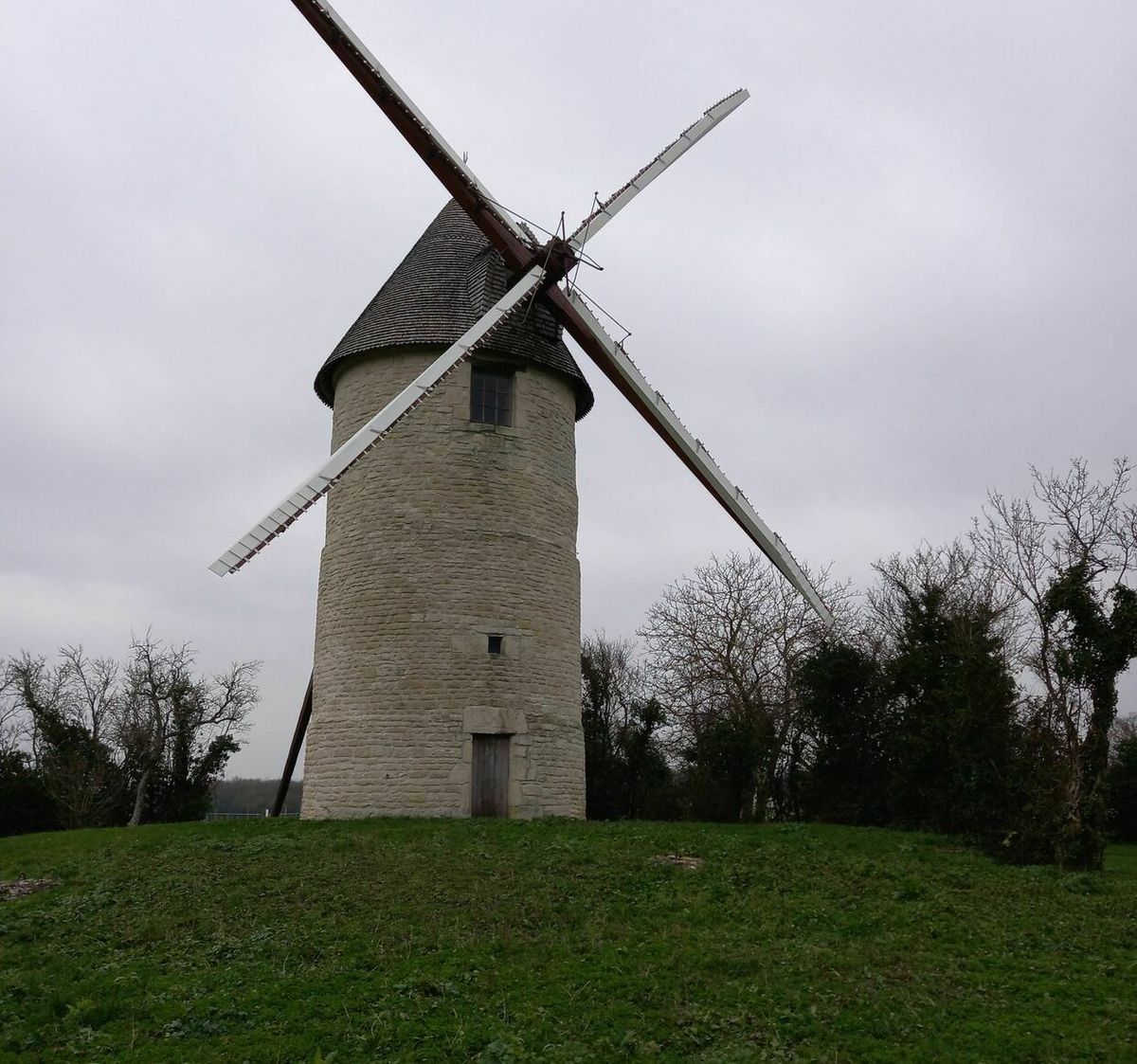 Parcours pédestre en forêt de Chizé