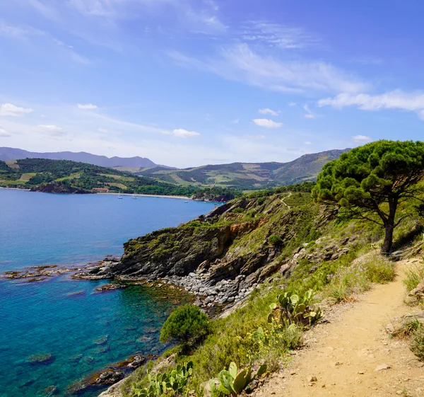 de-collioure-cadaqu-s-jour-1-de-collioure-banyuls