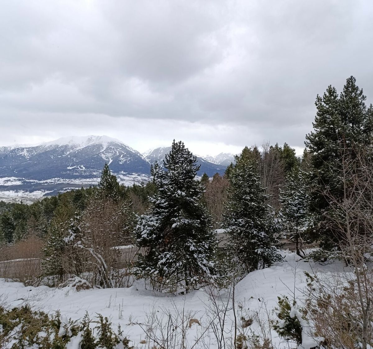 CPA GRAND HÔTEL de FONT ROMEU Pyrénées Orientales SPORT d'HIVER NEIGE