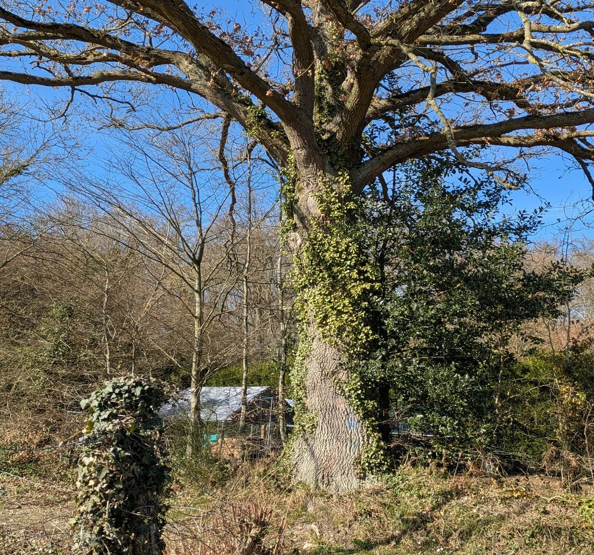 Boucle à Condé-sur-Risle