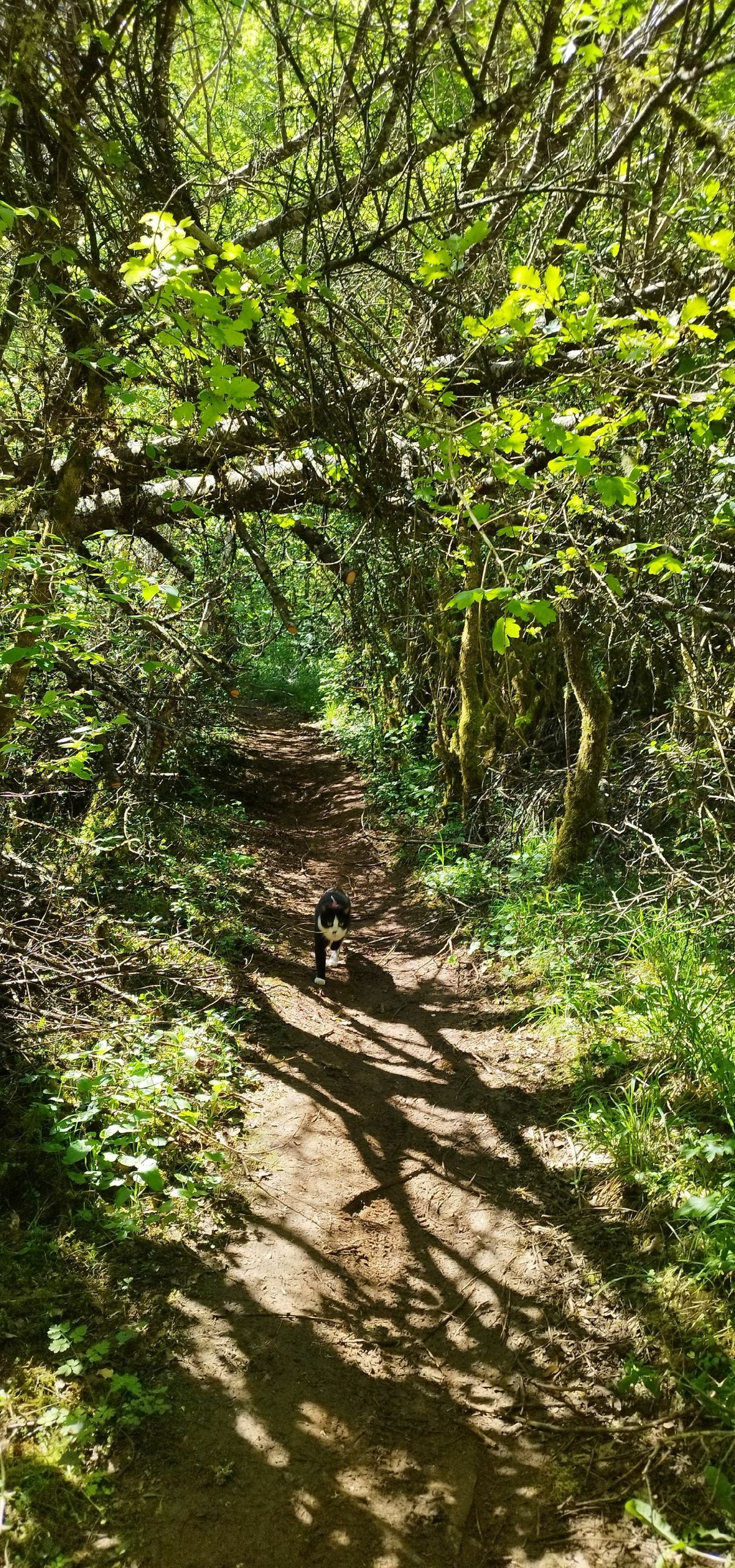 Point de vue et petite balade en forêt